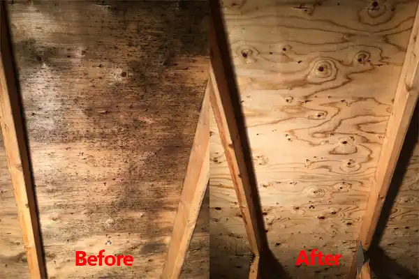 water damage restoration service Mount Charleston